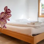 Haus Bella Vista Διαμέρισμα Riederalp