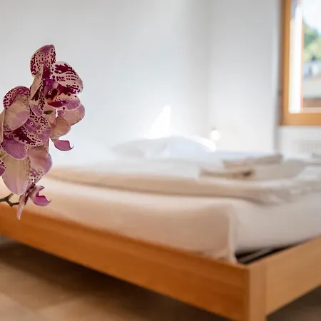 Haus Bella Vista Apartment Riederalp