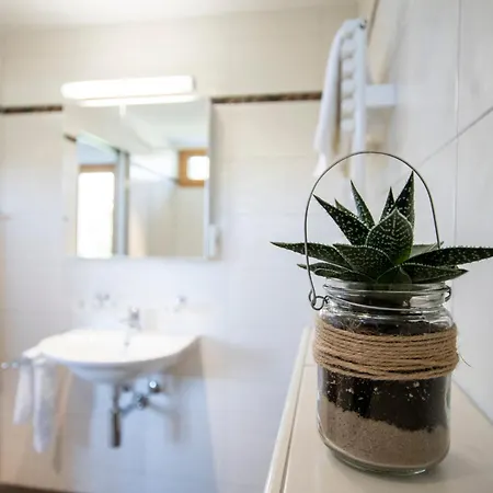 Apartment Haus Bella Vista Riederalp