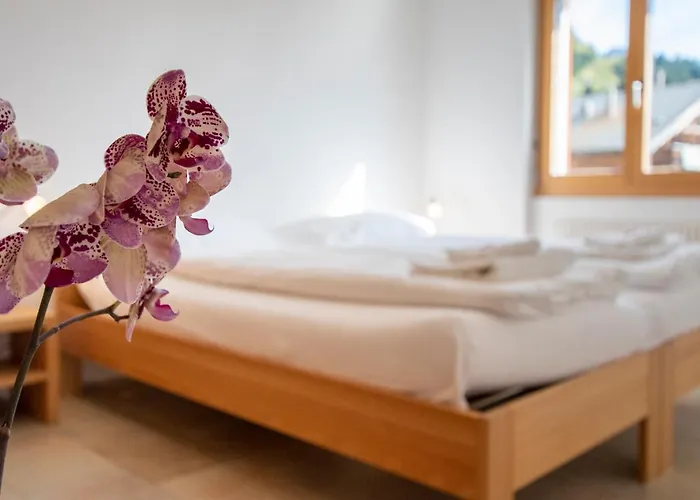 Haus Bella Vista Διαμέρισμα Riederalp